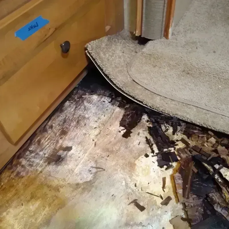 Wood Floor Water Damage in Mount Carmel, IL